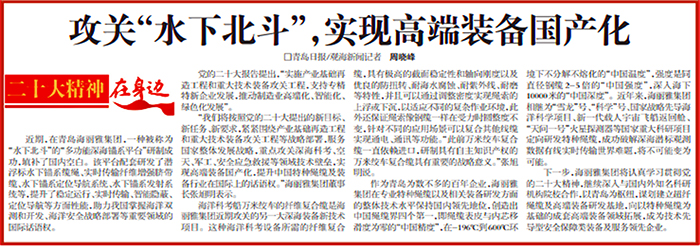 青島海麗雅集團(tuán)