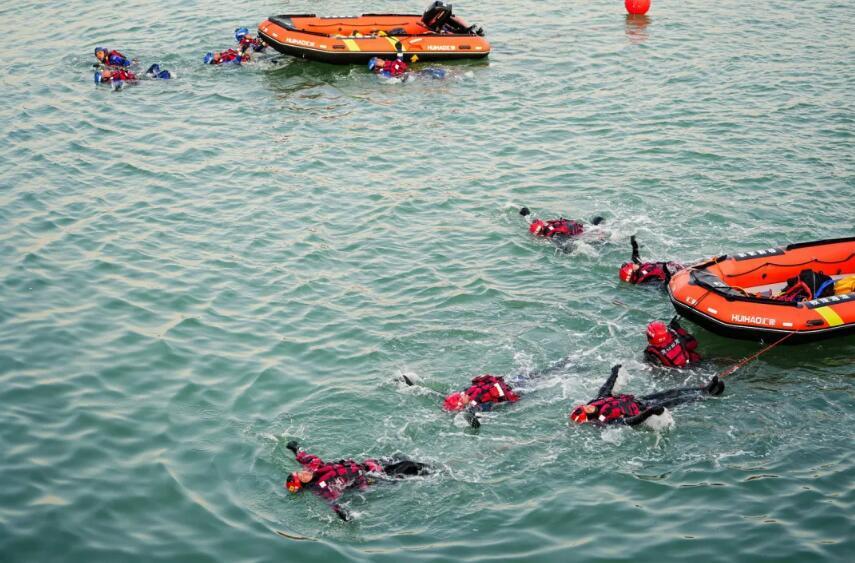 海麗雅集團(tuán)